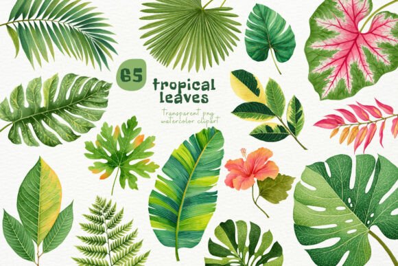 Download Watercolor Tropical Leaves PNG Clipart - Premium Resources