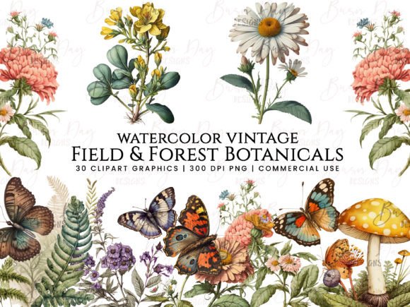 Download Field &amp; Forest Vintage Botanical Clipart - Botanical Collection