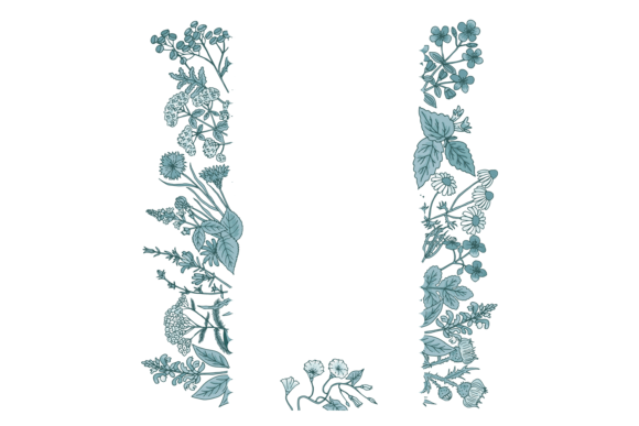 Download Floral Border with Hand Drawn Plants. De - Hand drawn plants Collection
